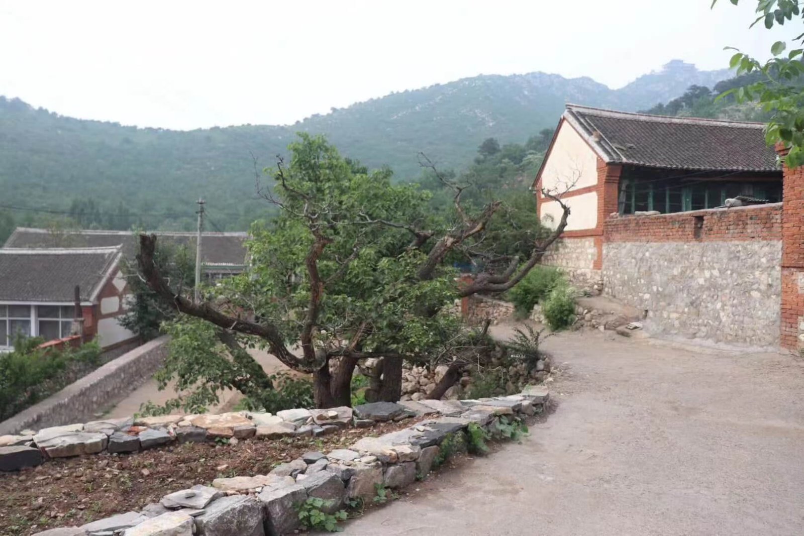 Childhood memories path