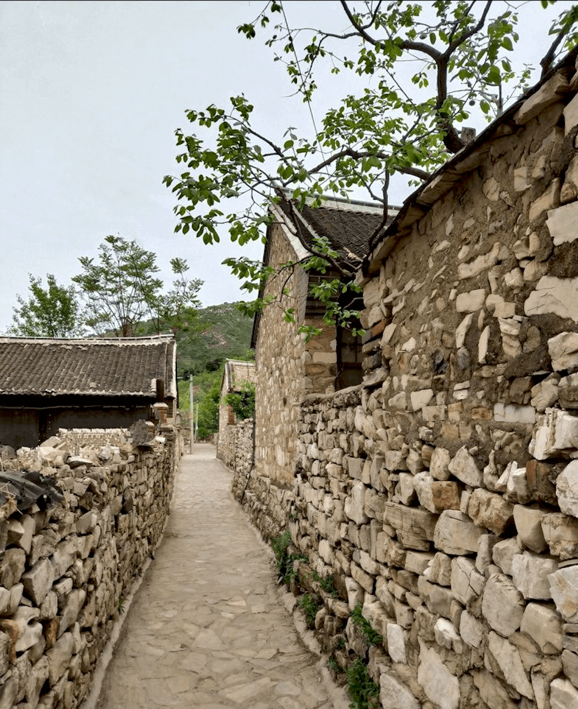 Village surroundings